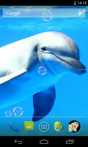 【免費個人化App】Dolphins Live Wallpaper-APP點子