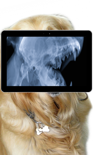 【免費娛樂App】Pet Xray- Prank-APP點子