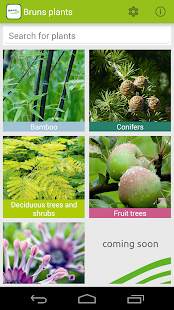 How to get Bruns Plants lastet apk for android