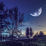 the half night by Seng Chan -  