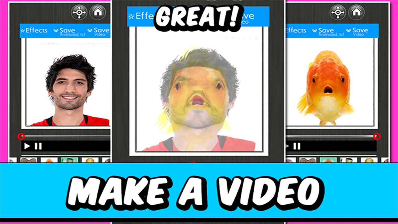 Warps and morphs thesis 07 image