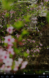 Free Spring Meadow Relaxation APK