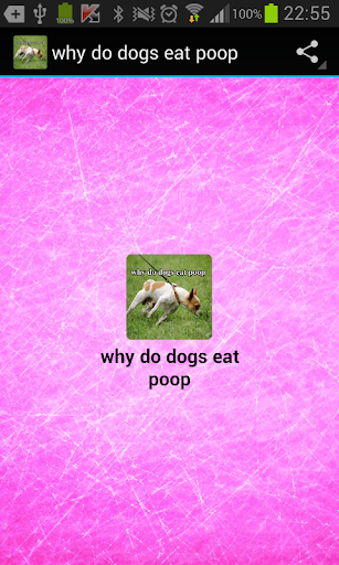 why do dogs eat poop