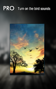 Sunset Hill Pro Live Wallpaper Screenshot
