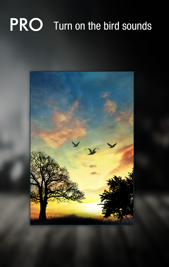 Download Sunset Hill Pro Live Wallpaper v1.3.9 Full Apk - TechnoDroid