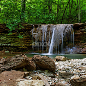 by Alexander Bakhur - Landscapes Forests