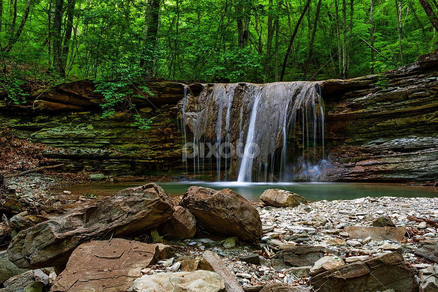 by Alexander Bakhur - Landscapes Forests