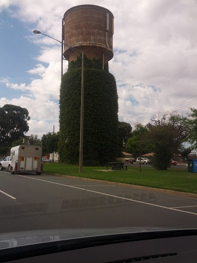 Growing Water Tower