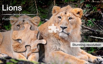 Lion Jigsaw Puzzles Demo poster 1