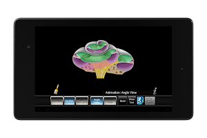 Inner Ear ID APK Gambar Screenshot #12