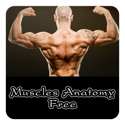 【免費教育App】Muscles Anatomy Free-APP點子