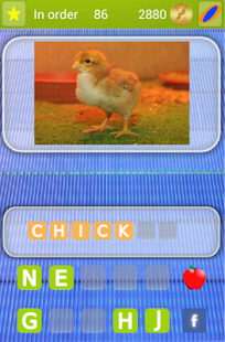 Discover the animal Winner Screenshots 14