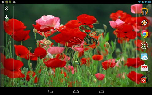 How to download Red Poppies 3D Wallpaper lastet apk for laptop