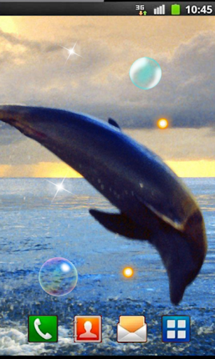 Sea Dolphins HD live wallpaper