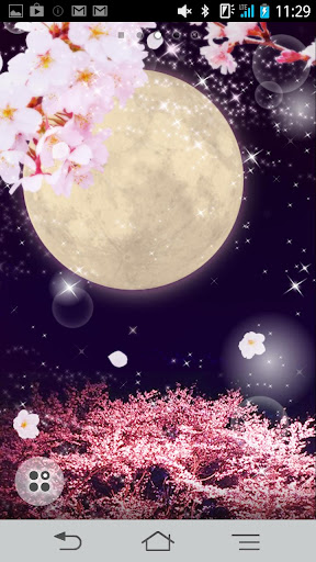 Cherry Blossoms Full Moon