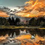 by Laimonas Šepetys -  