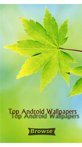 Top Android Wallpapers