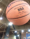 Giant Basketball