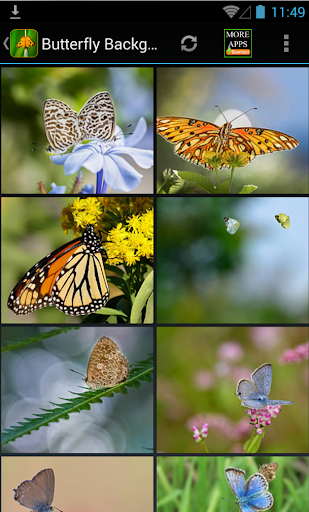 Butterfly Background Wallpaper