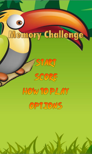 Memory Challenge