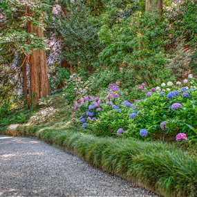 by Fraise Des Bois - City,  Street & Park City Parks