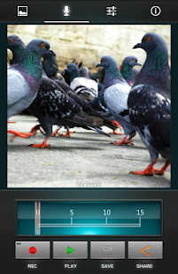 Free Download ZZ Gram - Voice your pics APK for Android