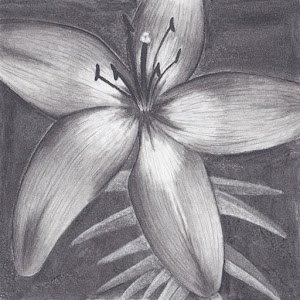 Charcoal Drawing.apk 2.0