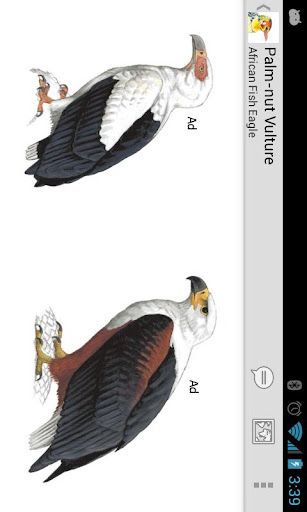 【免費書籍App】eGuide to Birds of East Africa-APP點子