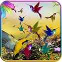 Birds Live Wallpaper icon