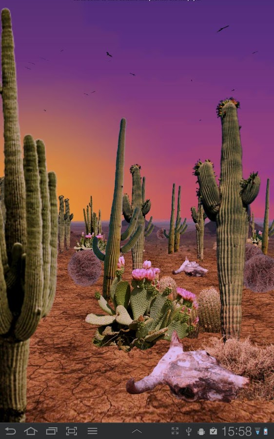 Desert Live Wallpaper - Android Apps on Google Play
