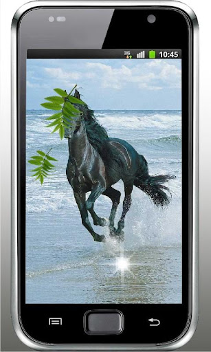 Horses Photo HQ live wallpaper