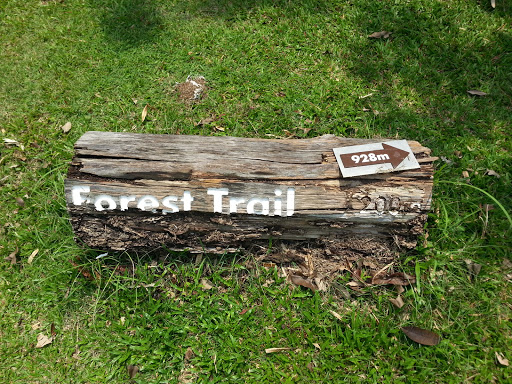 Eco Park Forest Trail