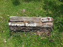 Eco Park Forest Trail