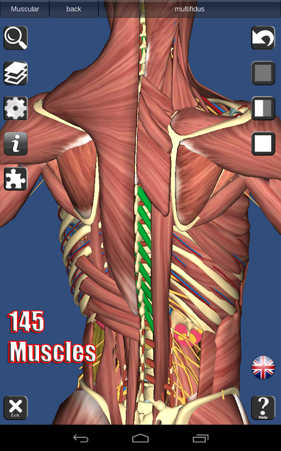 3D Anatomy Android Apps on Google Play