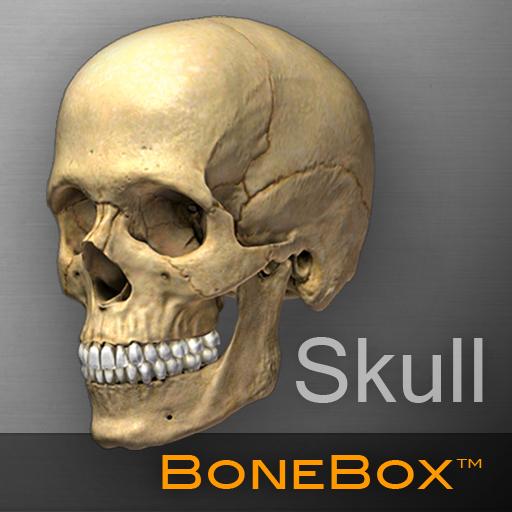 BoneBox™ - Skull Viewer LOGO-APP點子