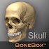 BoneBox™ - Skull Viewer1.0.0