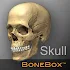 BoneBoxâ„¢ - Skull Viewer1.0.0