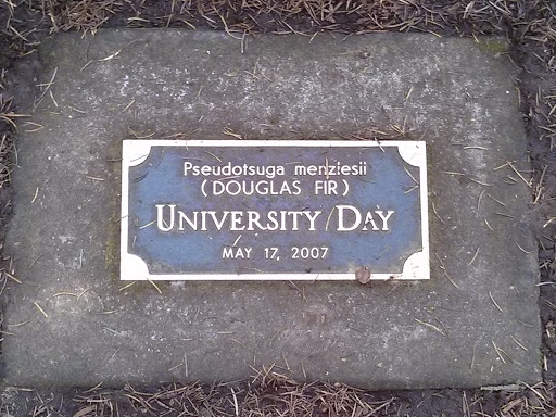 University Day 2007 Douglas Fir