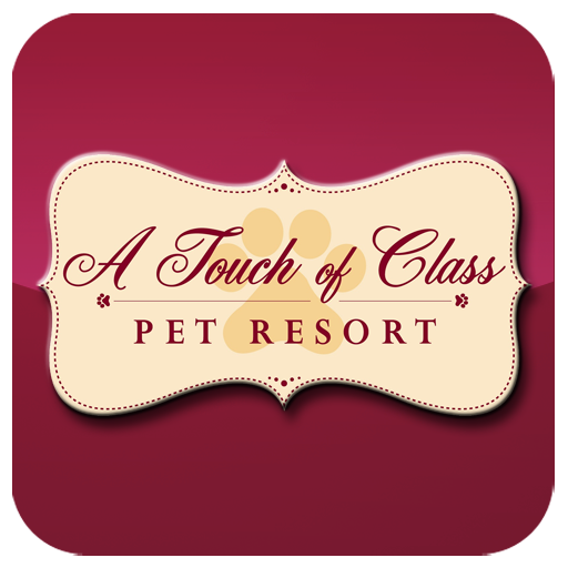 A Touch of Class Pet Resort LOGO-APP點子