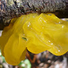 Witches' Butter