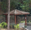 Wooden Pavilion 