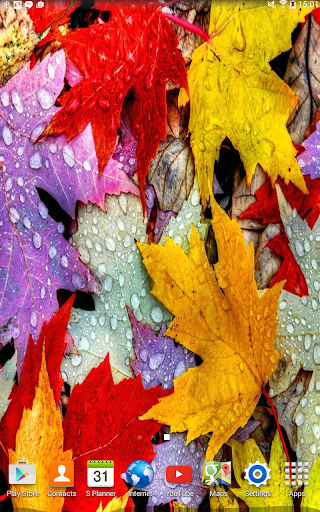 Autumn leaves Live Wallpaper