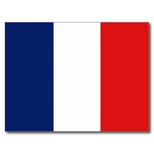 Study Mate French Grammar logo