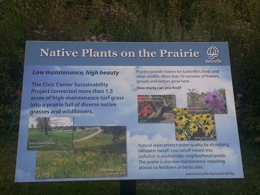 Plants Prairie