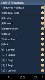 Romanian Holy Bible poster 2