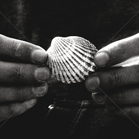 by Lisa Davies - Black & White Objects & Still Life