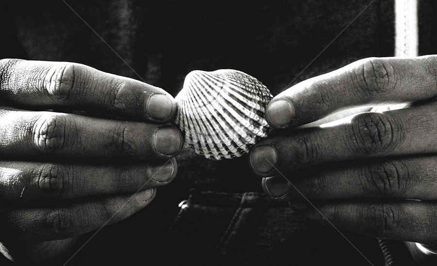 by Lisa Davies - Black & White Objects & Still Life