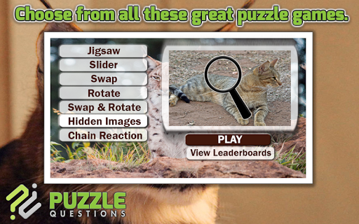 Free Wild Cats Puzzles