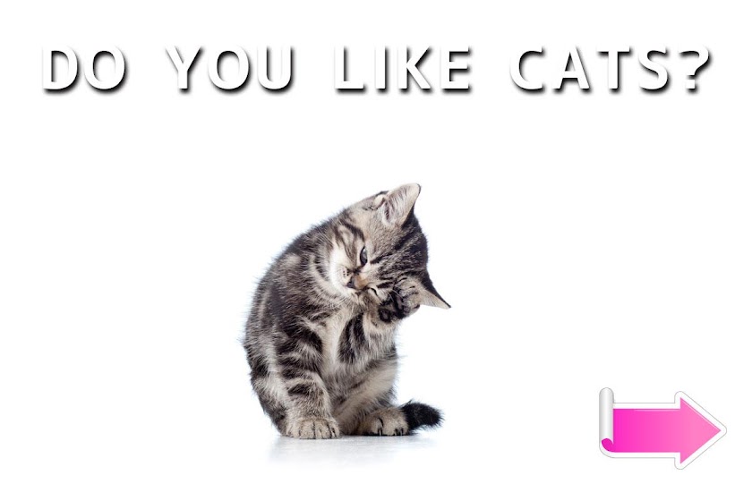 Cat Sticky Notes Notepad Screen 3
