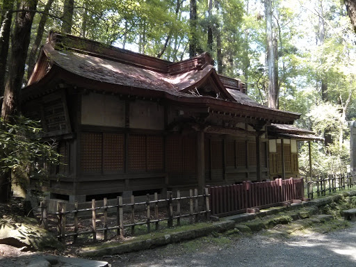 Forest Sacred Wooden Shrine 